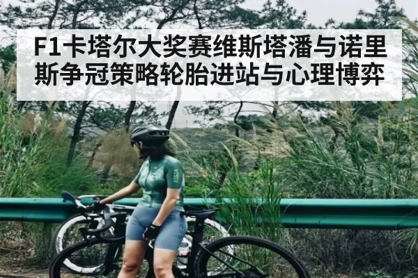 F1卡塔尔大奖赛维斯塔潘与诺里斯争冠策略轮胎进站与心理博弈